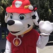 Mascots