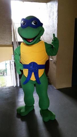 Ninja Turtle Character