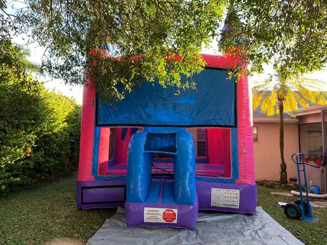 Pink & Blue Castle Bounce #8