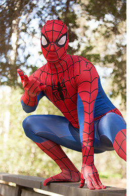 Regular Spiderman Character