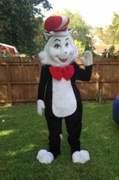 Cat In The Hat