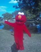 Elmo Character