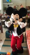 Mouse Character