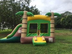Tropical Duo # 26Best for ages 3+  Space Needed 26 D x 15 W x 16 H
